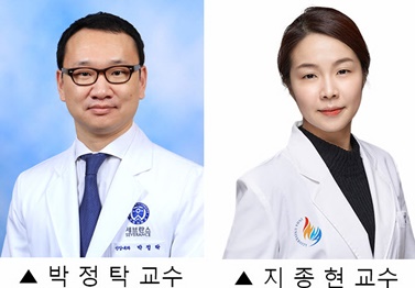 박정탁 교수, 지종현 교수.