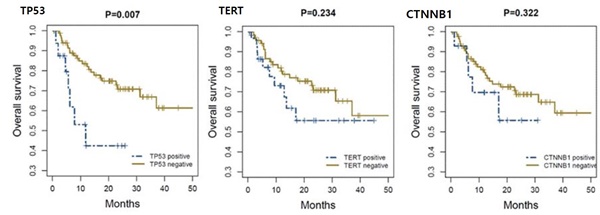 P53 돌연변이를 보유한 간암 환자에서 그렇지 않은 환자에 비해 더 나쁜 생존율을 보였다(P=0.007). 반면 TERT와 CTNNB1 돌연변이는 환자의 생존에 유의한 영향을 주지 않았다.