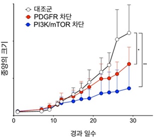 [그래프]섬유화형 악성 엽상종 이식 생쥐에게 PDGFR, PI3K/mTOR 신호 차단 약물을 각각 투여한 결과, 대조군(흰색)에 비해 암 성장속도가 느려졌다. 특히 PI3K/mTOR 신호 차단군(파란색)에서 암 성장이 효과적으로 억제되는 것으로 확인됐다.